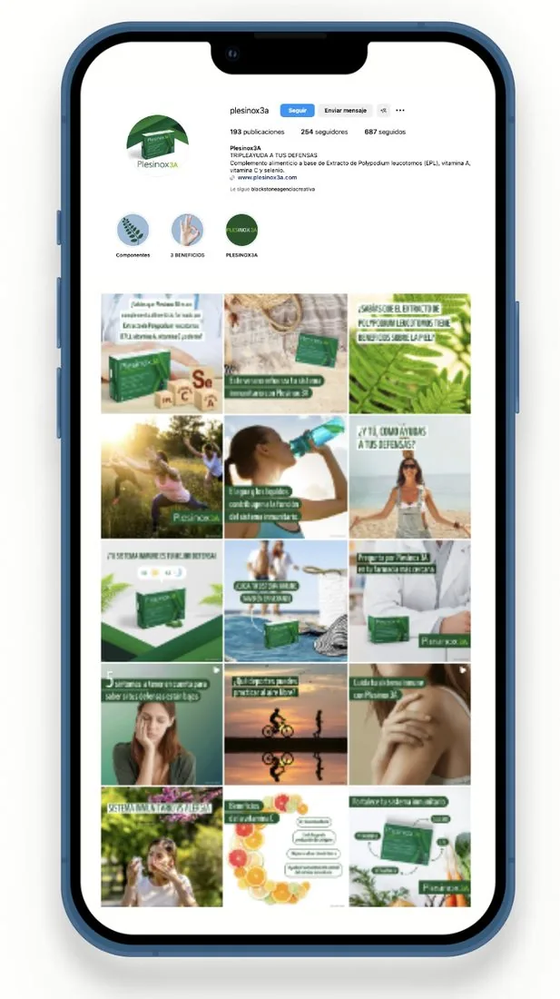 Proyecto de marketing digital Blackstone — Blackstone Digital